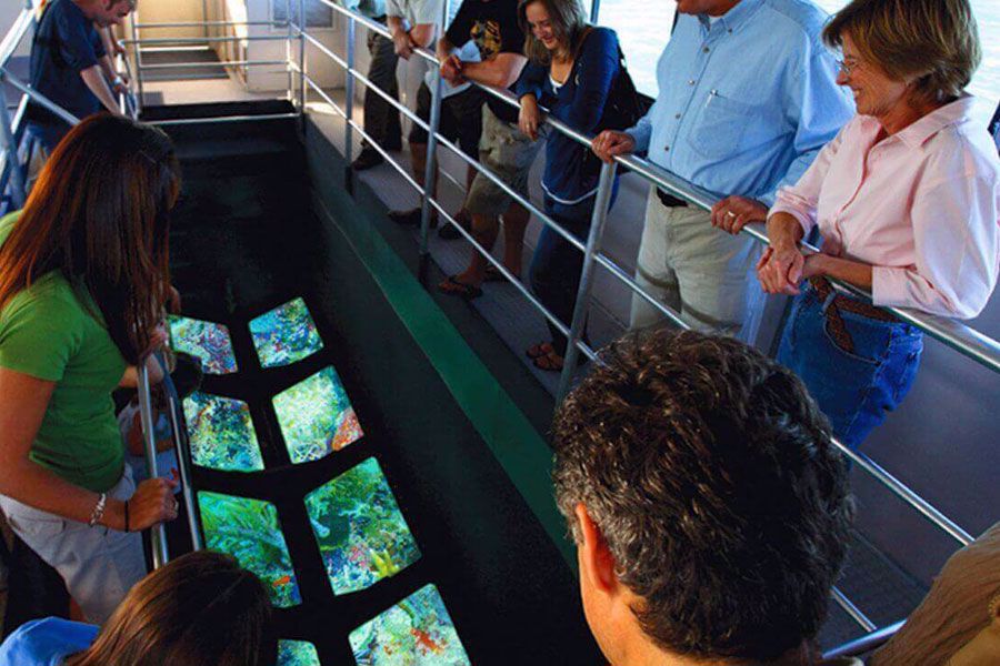 Windows to the reef