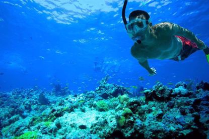 Best snorkeling experiences in Key West