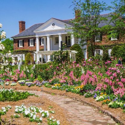 Picture of Boone Hall Plantation Tour