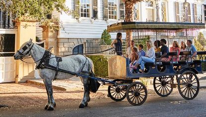 Picture of Horse and Carriage Tour