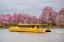 Picture of Water Taxi Wharf to Georgetown One Way - Weekend